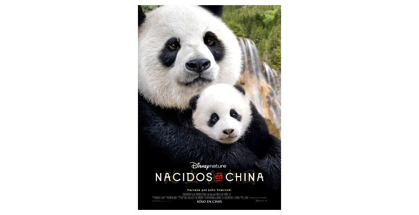 ‘NACIDOS EN CHINA’ estreno 21 de abril