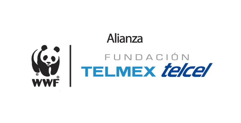 Fundación Telmex Telcel y WWF  protegen a la mariposa monarca