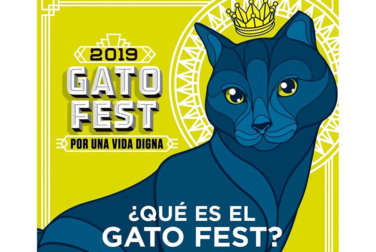 Minino, presenta "Gato Fest" este 17 de Febrero, en la Ciudad de México Conexion 360