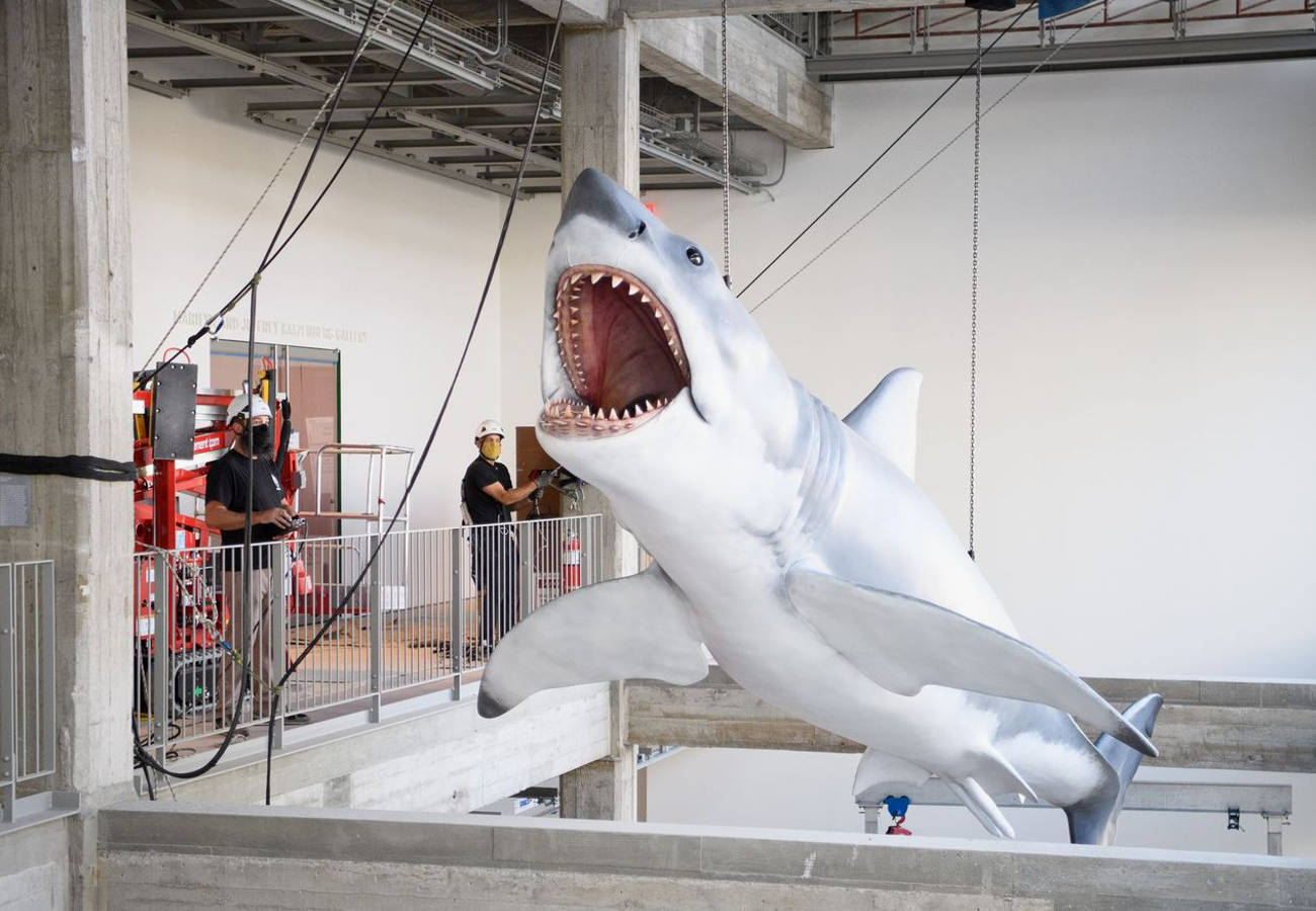 EL MUSEO DE LA ACADEMIA presenta el único modelo sobreviviente de la Película JAWS