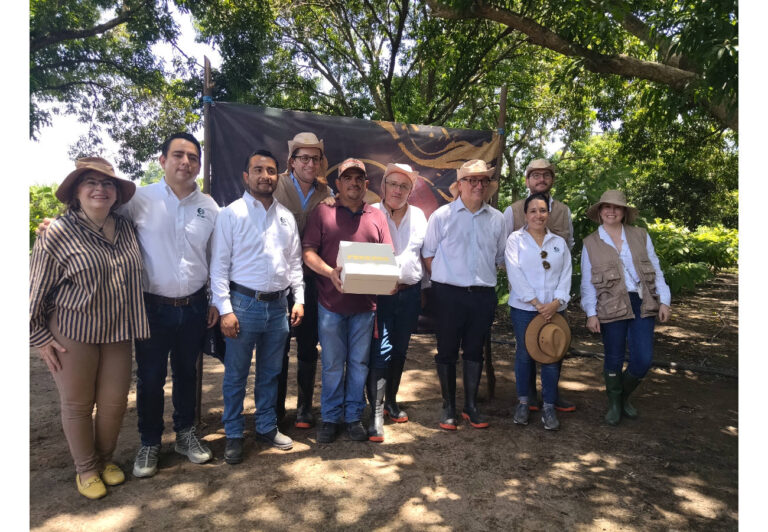 Ferrero por el Campo, una programa de Responsabilidad Social que apoya a los productores de Cacao