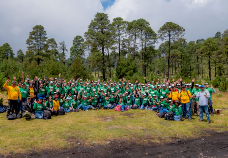 Pinol y Fundación AlEn suman esfuerzos para restaurar bosques de pino en México